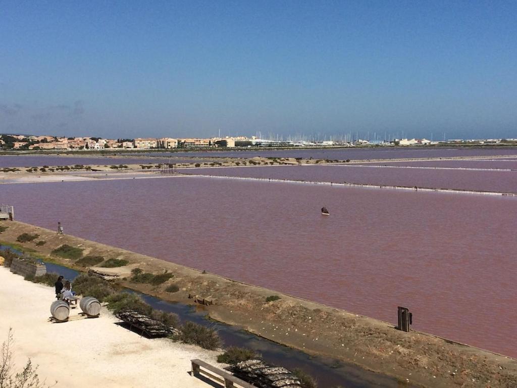 Gruissan Appartement Calme, Vue Sur Port De Plaisance -Clim, Empl.Parking Экстерьер фото